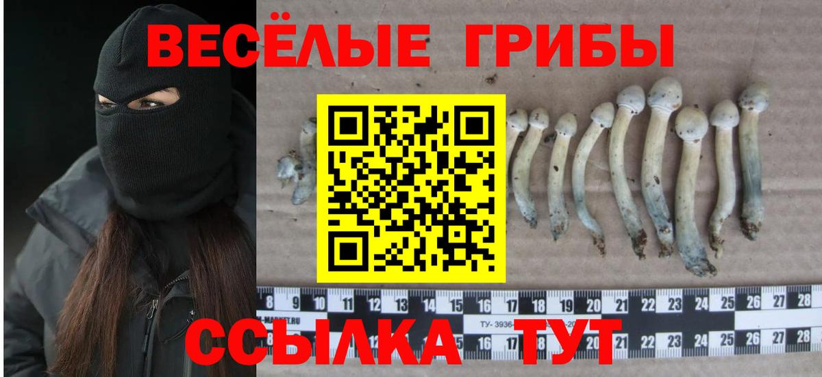 Псилоцибиновые грибы MAGIC MUSHROOMS  Псилоцибиновые грибы Cubensis  Вход с VPN  Усть-Джегута 