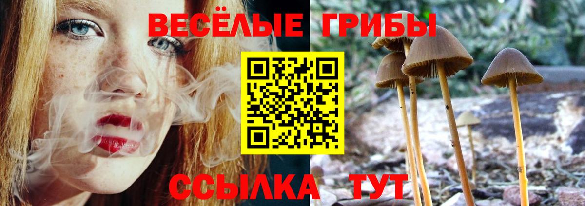 Псилоцибиновые грибы MAGIC MUSHROOMS Усть-Джегута